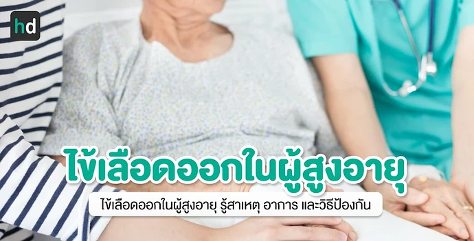 รู้ครบเรื่องไข้เลือดออกในผู้สูงอายุ เข้าใจโรคก่อนเสี่ยง