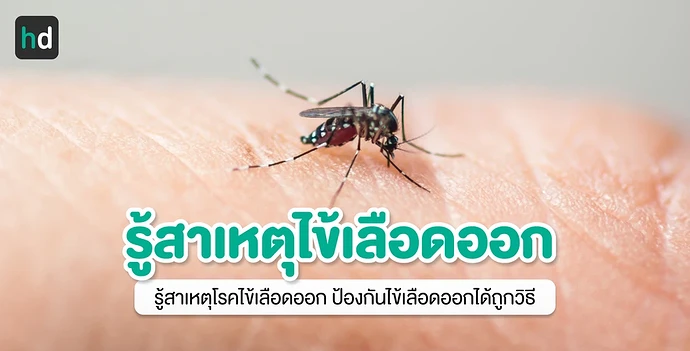 รู้สาเหตุไข้เลือดออก ป้องกันโรคได้ถูกวิธี